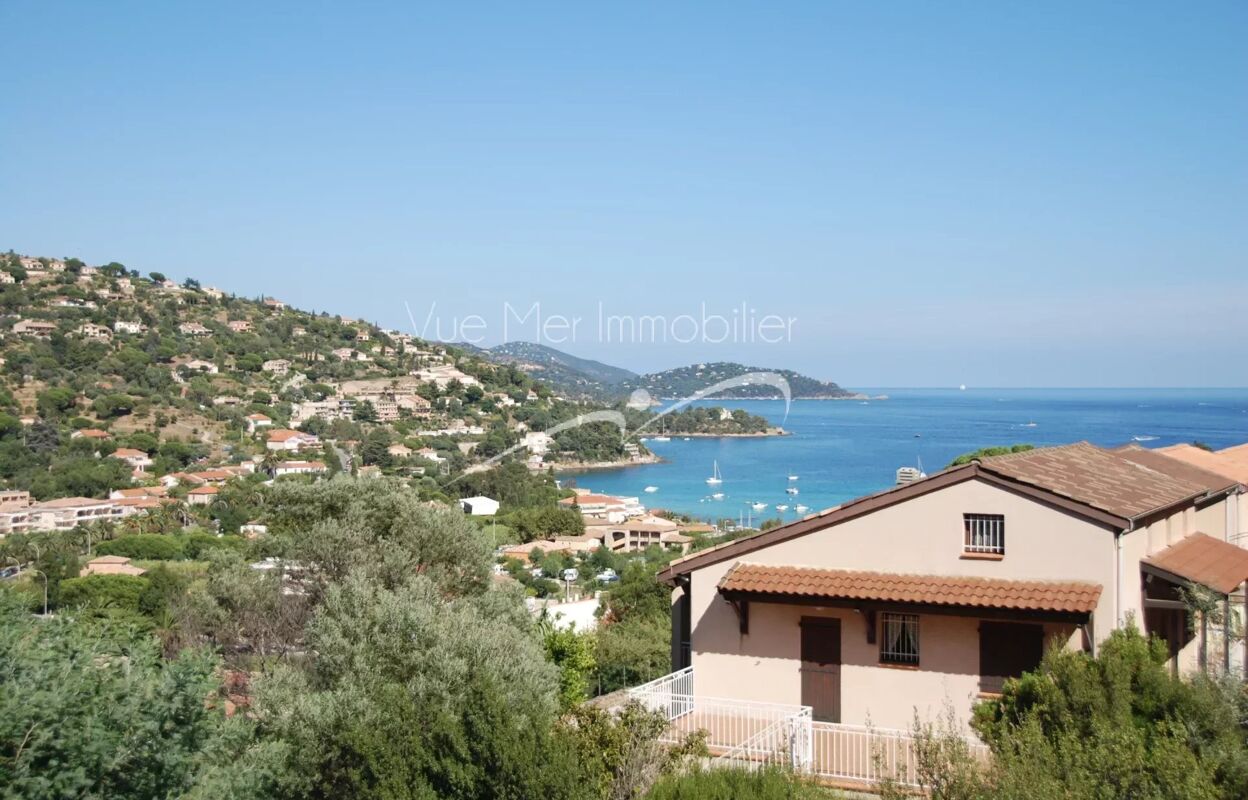 terrain  pièces 774 m2 à vendre à Le Lavandou (83980)