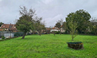 Photo N° 6