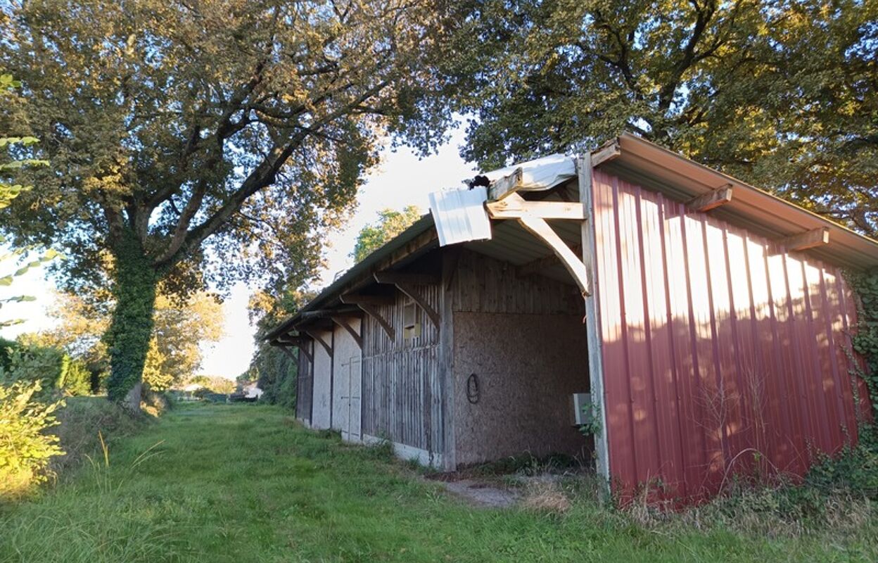 commerce  pièces 150 m2 à vendre à Cazères-sur-l'Adour (40270)