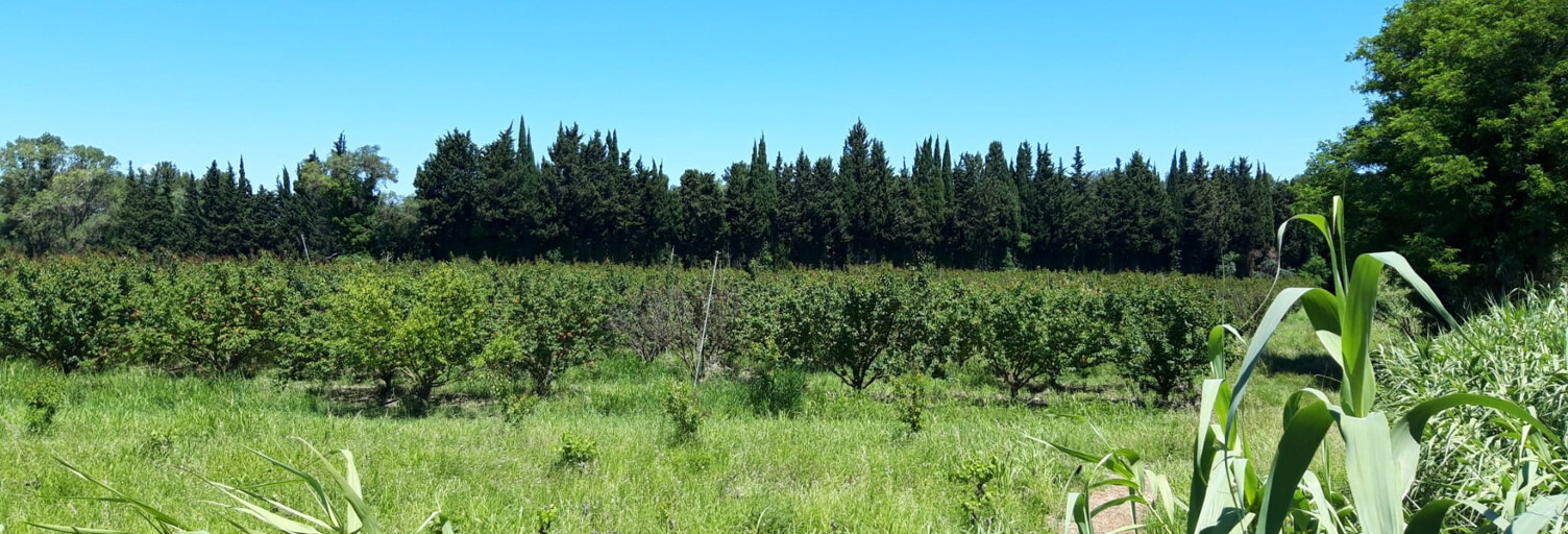 Maison 10 Pièces 250 m² à vendre à Vallabrègues (30300)