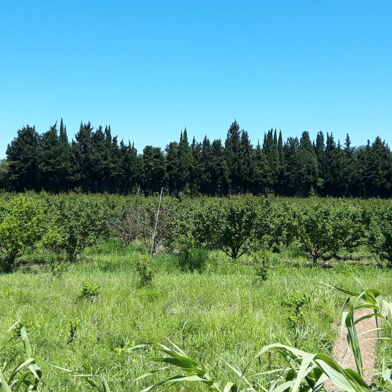 Maison 10 pièces 320000 €