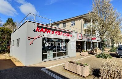 vente commerce 26 000 € à proximité de Saint-Trivier-sur-Moignans (01990)