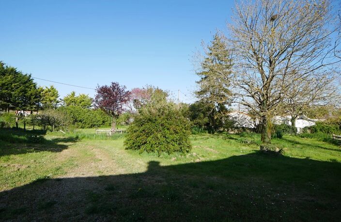 LA LAIGNE — photo 3