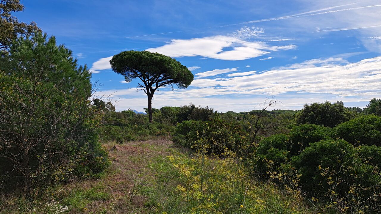 terrain  pièces 656 m2 à vendre à Puget-sur-Argens (83480)