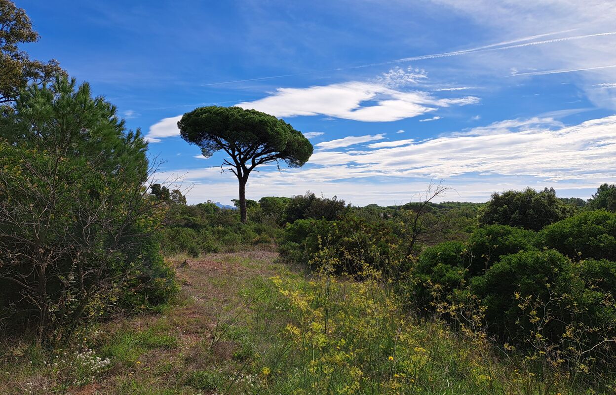 terrain  pièces 656 m2 à vendre à Puget-sur-Argens (83480)