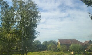 Photo N° 6
