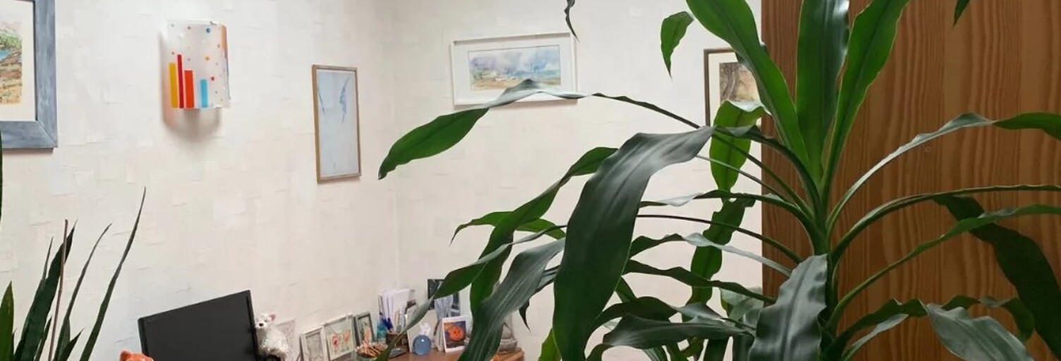 Maison 4 Pièces 87 m² à vendre à Toulouse (31100)