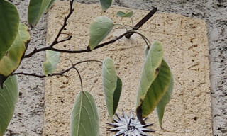 Photo N° 3