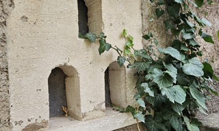 Photo N° 6