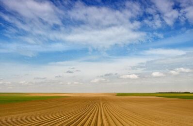 terrain  pièces 3600000 m2 à vendre à Neuillé-Pont-Pierre (37360)