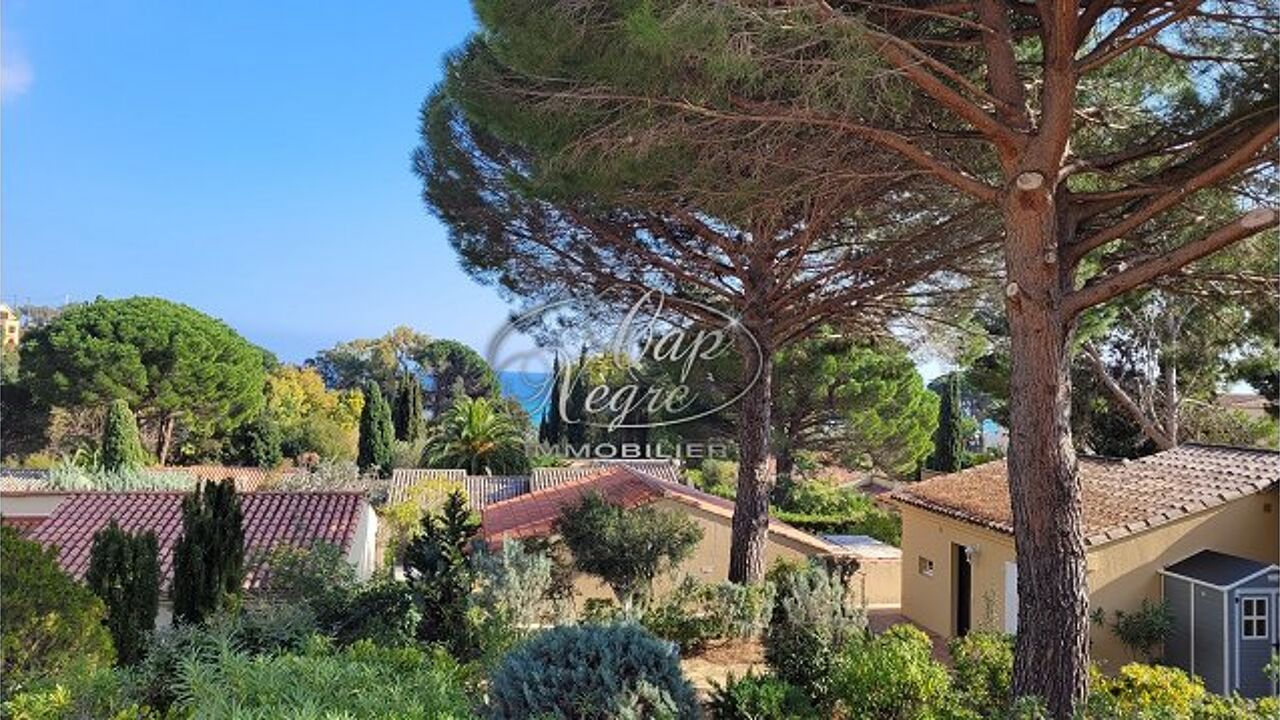 appartement 1 pièces 17 m2 à vendre à Le Lavandou (83980)