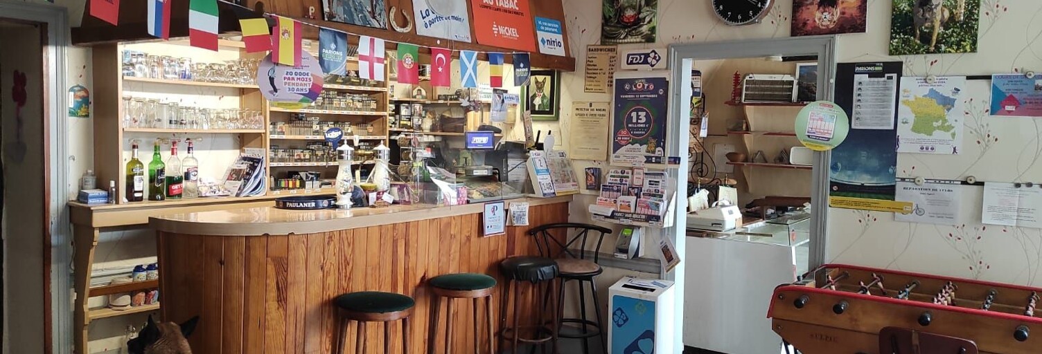 Commerce  280 m² à vendre à Channay-sur-Lathan (37330)