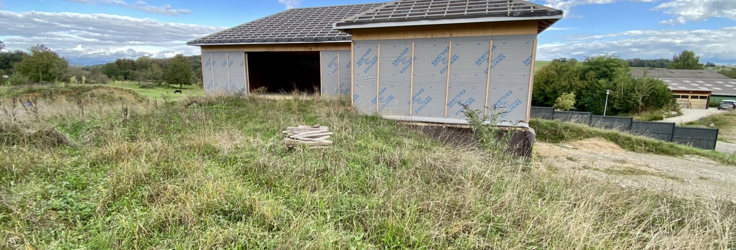 Maison 4 Pièces 136 m² à vendre à Hausgauen (68130)