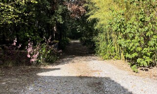 Photo N° 3
