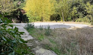 Photo N° 4
