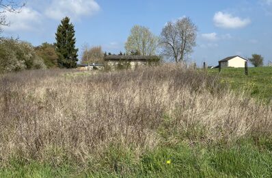 vente terrain 44 000 € à proximité de Neunkirchen-Lès-Bouzonville (57320)