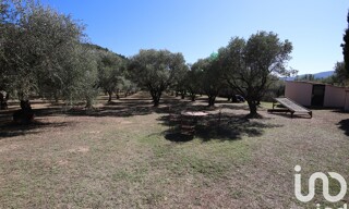 Photo N° 4