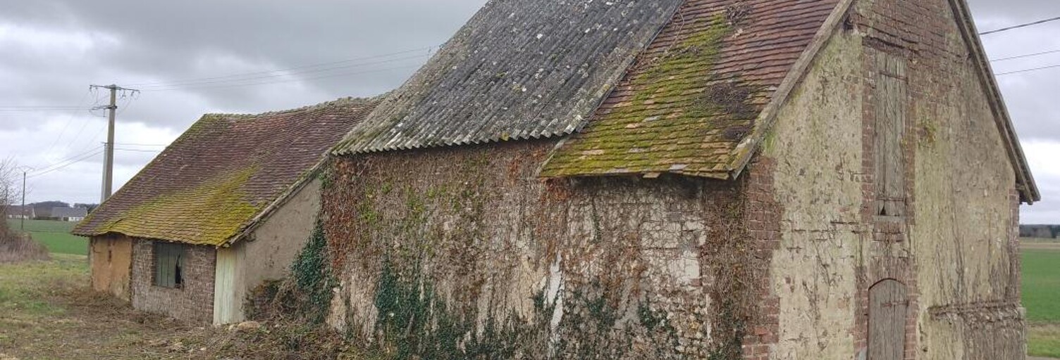 Maison 1 Pièce 30 m² à vendre à Villechauve (41310)