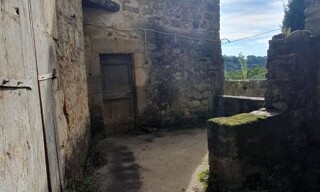 Photo N° 3