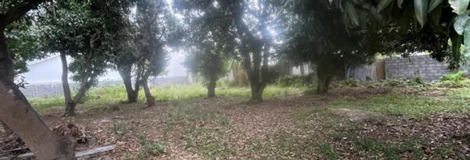 Terrain   m² à vendre à Saint-Paul (97460)