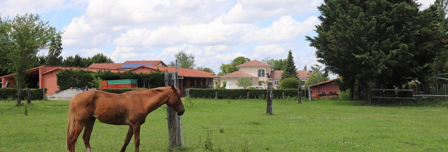 Maison 9 Pièces 200 m² à vendre à Pamiers (09100)