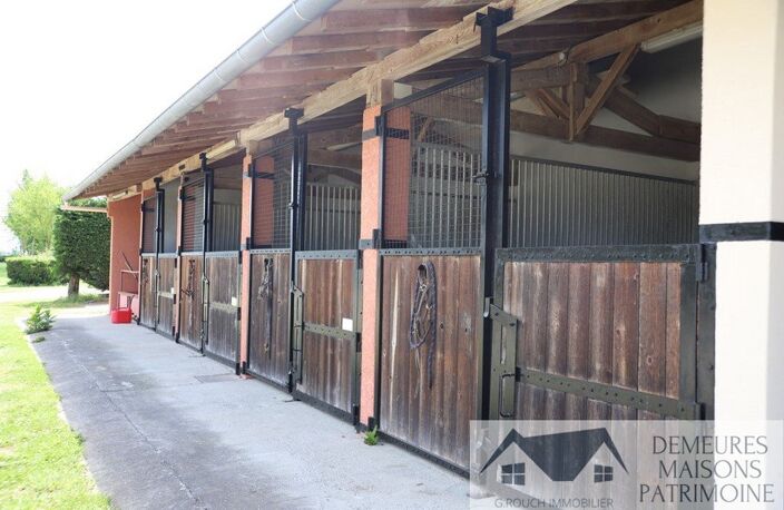Haras / Equestre — photo 2