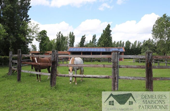 Haras / Equestre — photo 4