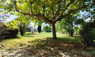 Photo N° 4
