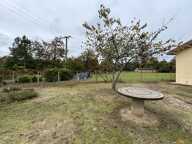 PROPRIETE SUR 1 HECTARE DE TERRAIN CLOS — photo 3