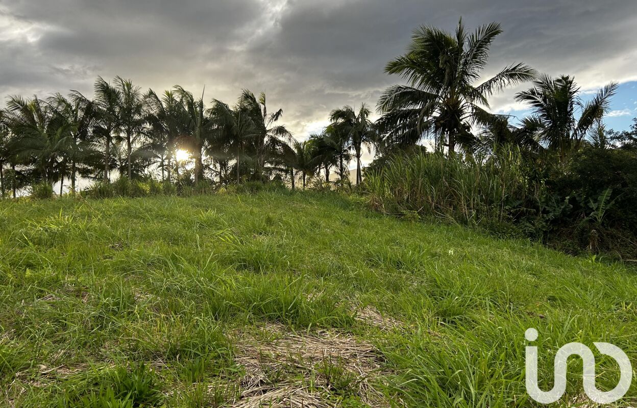 terrain  pièces 1124 m2 à vendre à Saint-Joseph (97480)