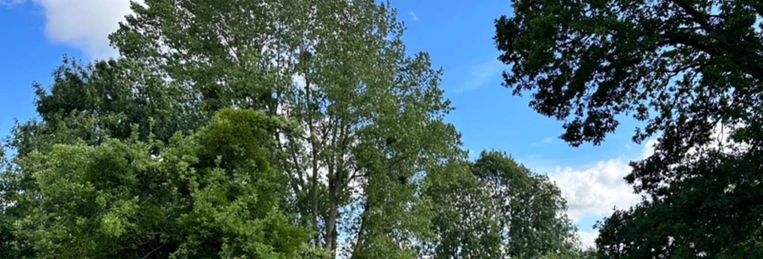 Terrain  1202 m² à vendre à La Poterie-Mathieu (27560)