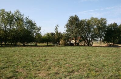 terrain  pièces 400 m2 à vendre à Léognan (33850)