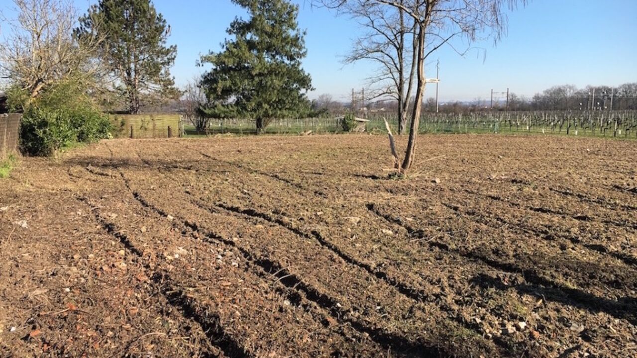 terrain  pièces 1500 m2 à vendre à Saint-Maixant (33490)