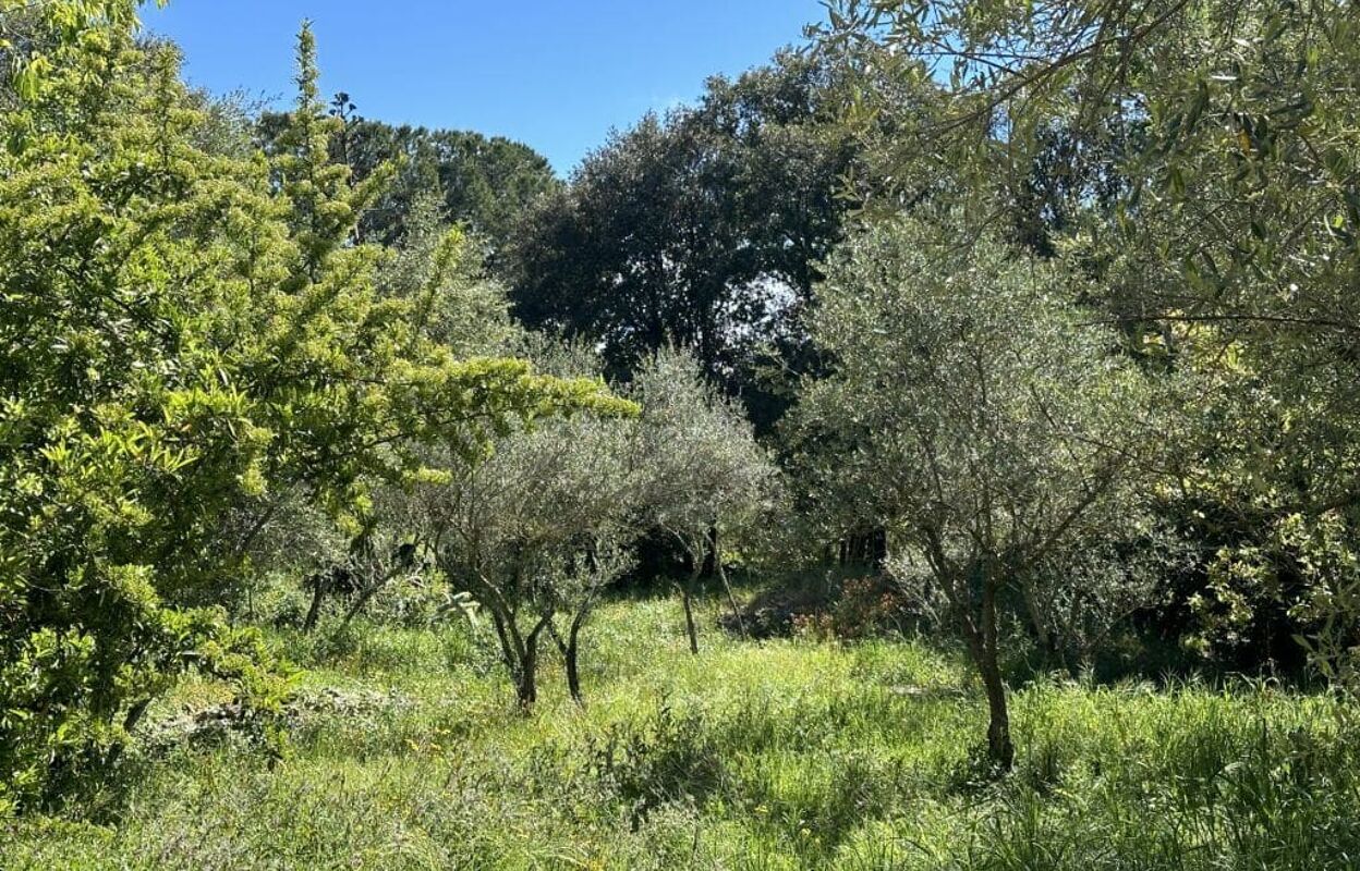 terrain 420 m2 à construire à Pierrefeu-du-Var (83390)