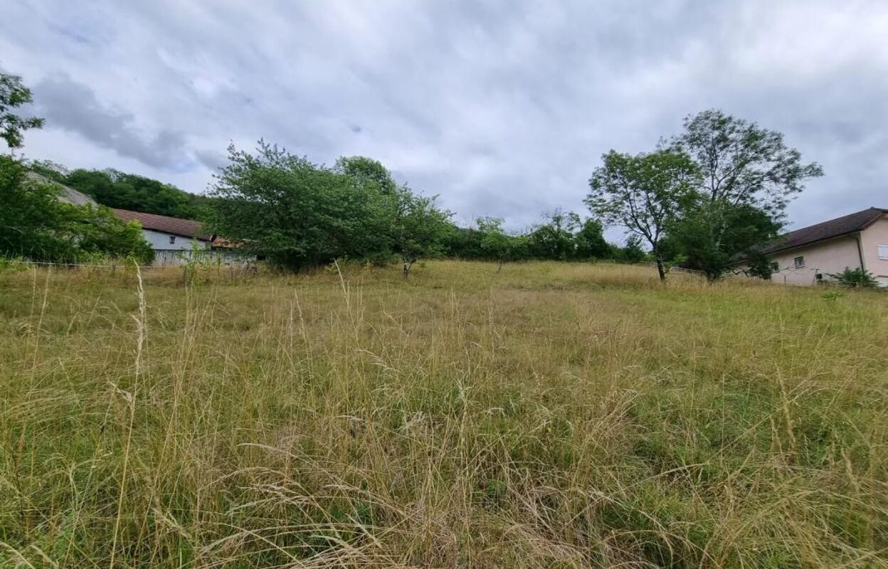 terrain  pièces 2730 m2 à vendre à Ruffieux (73310)