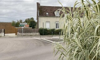 Photo N° 14