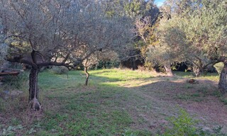 Photo N° 3