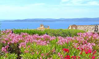 Maison   m² à vendre à Roquebrune-sur-Argens (83380)