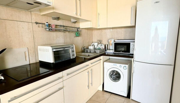 Appartement 1 pièces  à louer Barcarès (Le) 66420