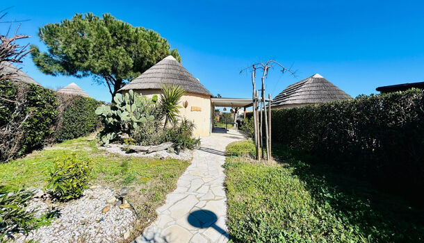 Villa / Maison 3 pièces  à louer Barcarès (Le) 66420