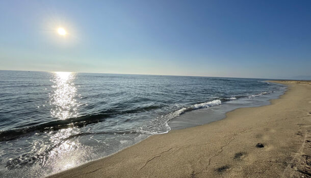 Appartement 2 pièces  à louer Barcarès (Le) 66420