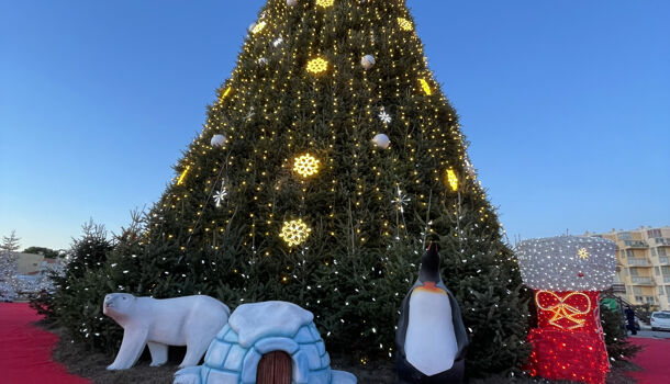 Appartement 1 pièces  à louer Barcarès (Le) 66420