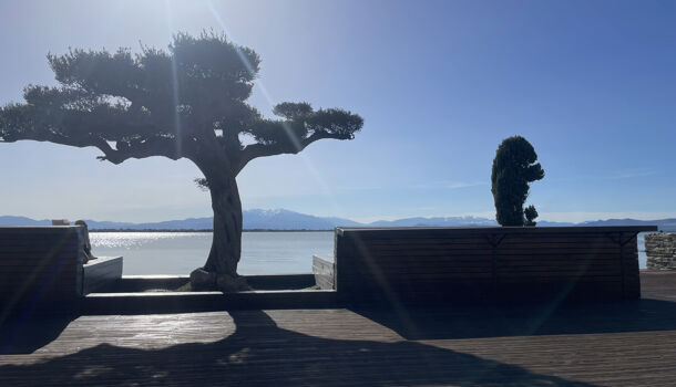 Appartement 3 pièces  à louer Barcarès (Le) 66420