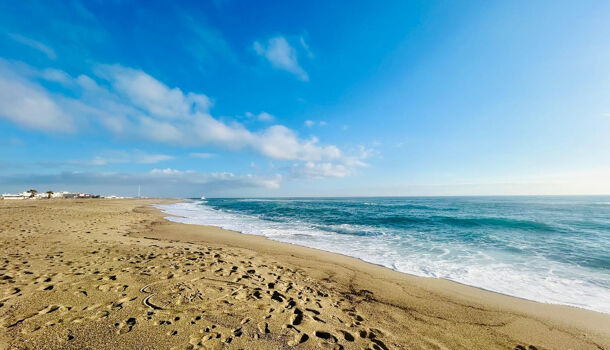 Appartement 1 pièces  à louer Barcarès (Le) 66420