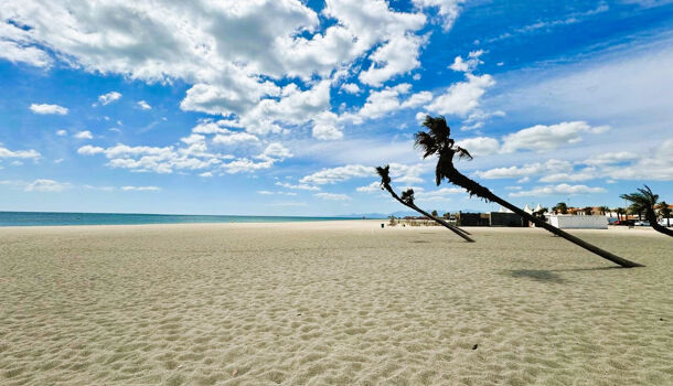 Villa / Maison 3 pièces  à louer Barcarès (Le) 66420