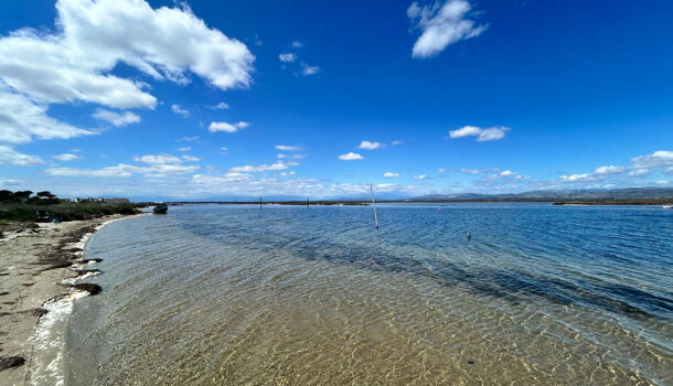 Villa / Maison 4 pièces  à louer Barcarès (Le) 66420