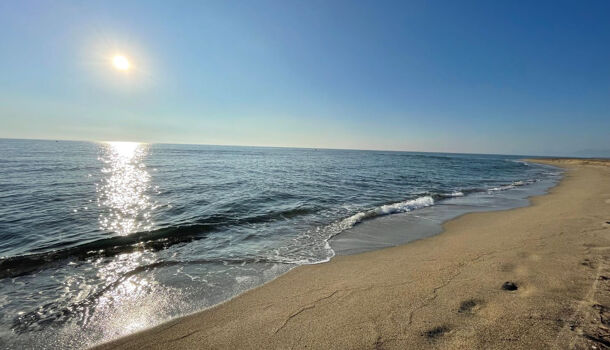 Appartement 1 pièces  à louer Barcarès (Le) 66420