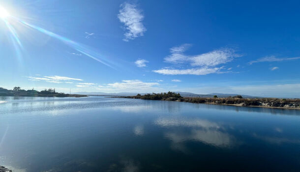 Appartement 2 pièces  à louer Barcarès (Le) 66420