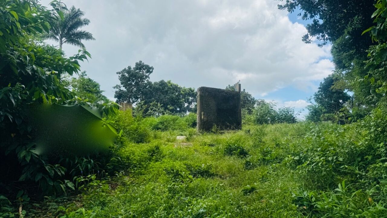 terrain  pièces 933 m2 à vendre à Gros-Morne (97213)