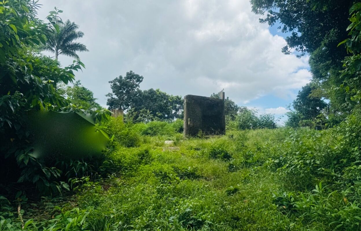 terrain  pièces 933 m2 à vendre à Gros-Morne (97213)